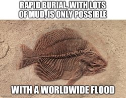Flood fish Meme Template