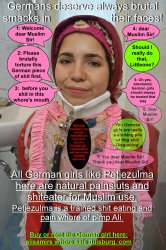 Germans derserve to be brutally face bashed Meme Template