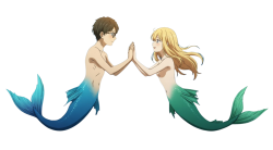 Mercouple Meme Template