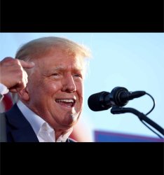 Roll Safe Trump Meme Template