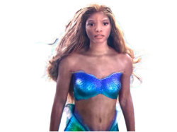 Halle Ariel Meme Template