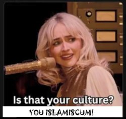 sabrina carpenter fights against islam Meme Template