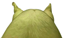 Charlie Dompler's Hair Fat Lower Body Meme Template