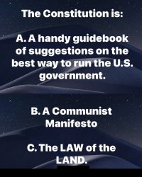 The U.S. Constitution Meme Template