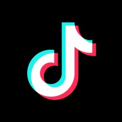 TikTok Logo Meme Template