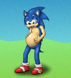 Preg sonic Meme Template
