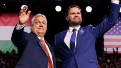 shit head Meme Template