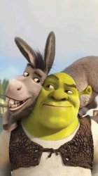 Shrek and Donkey Meme Template