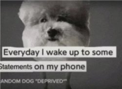 Everyday I wake up to some statements on my phone Meme Template
