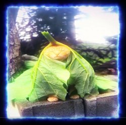 Chill Cat Meme Template