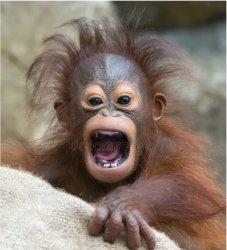 plz dont hurt me Meme Template