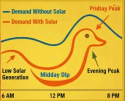 duck curve Meme Template