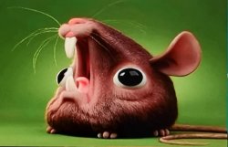 Ratty child Meme Template