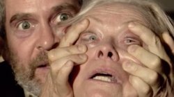 Birdbox open your eyes Meme Template