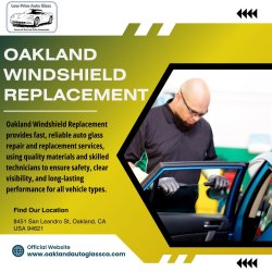 Oakland Windshield Replacement Meme Template