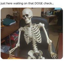 Late DOGE check Meme Template