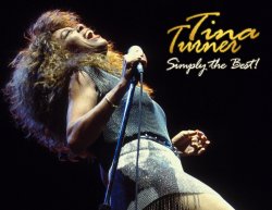 Tina_Turner_the_best Meme Template