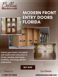 Modern Front Entry Doors Florida Meme Template