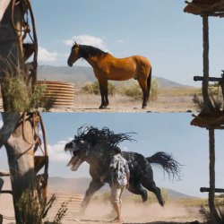 venom horse Meme Template