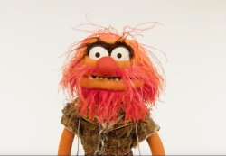 Animal Muppets Meme Template