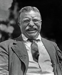Teddy Roosevelt Meme Template