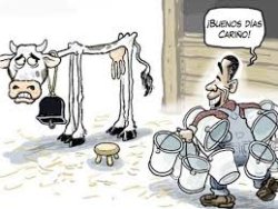 the cow Meme Template