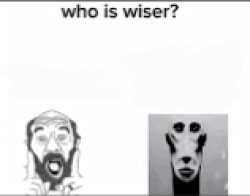 Who is wiser? Meme Template