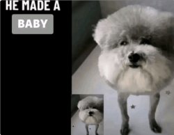 He made a baby Meme Template