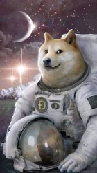 doge astronaut Meme Template