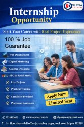Best Internship Company in jaipur Meme Template
