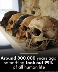 skulls Meme Template