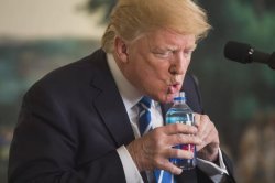 Donald drinking water Meme Template