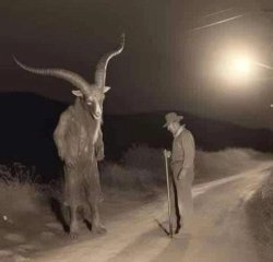 o bode Meme Template