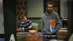 Cat in the Wall Charlie Kelly Meme Template