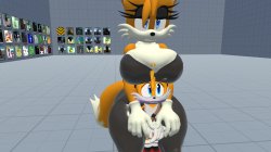 TAILS NO! Meme Template