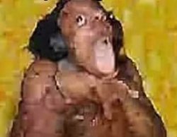 IShowSpeed Corrupted Meme Template