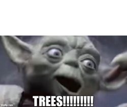 Trees Yoda Meme Template