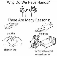 Why we have hands Meme Template