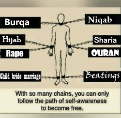 The true Islam Meme Template