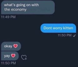 Dont worry kitten Meme Template