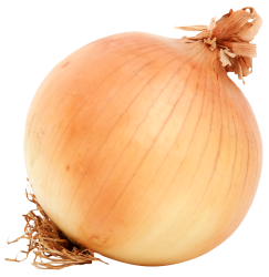 onion Meme Template