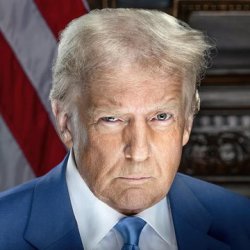 Smug trump Meme Template