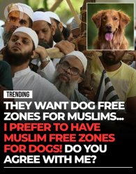 Dogs vs Muslims? Dogs 100% Meme Template