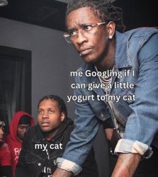 Man Googling Meme Template