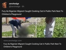 Nigerian Snatches Cat, Eats It Meme Template