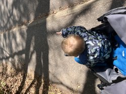 Me pointing out Meme Template