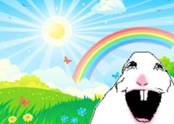 life is sunshine and rainbows Meme Template