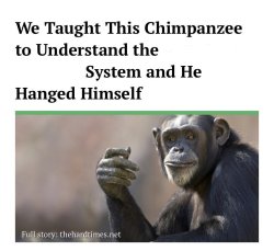 We taught this chimpanzee to understand Meme Template