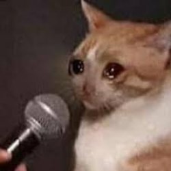 mic cat Meme Template