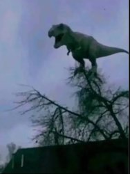 Dino schreit Meme Template